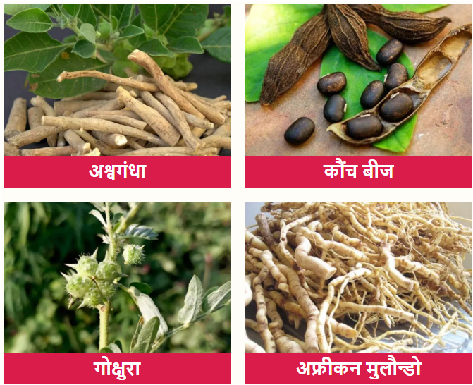 POWER OF NIGHT ingredients shown together